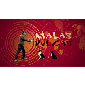 julia mondejar comunicacion